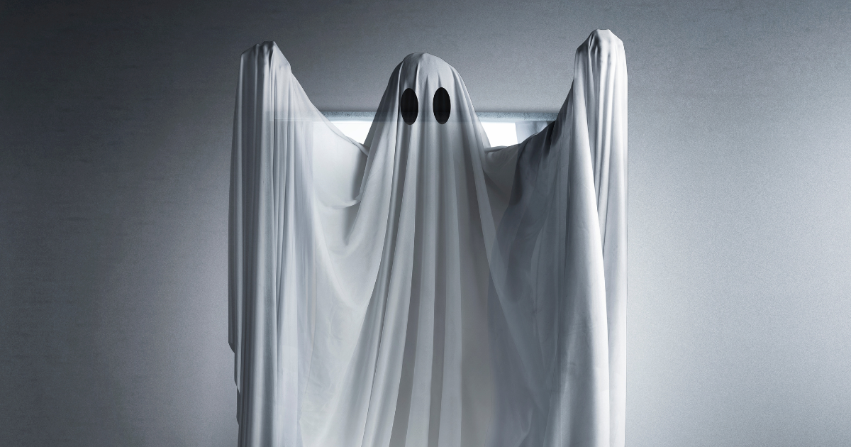 THE FRIGHTENED GHOST